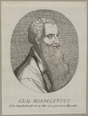 Bildnis des Guil. Rondeletius