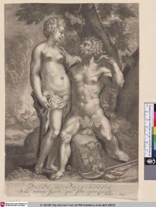 Pluto et Proserpina