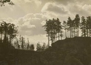 Elbsandsteingebirge. Landschaft nahe dem kleinen Kuhstall mit Cumuluswolken