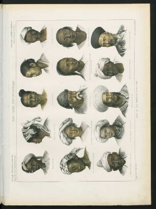 Pl. II. Indo-Chine septentrionale. Types du Laos Birman et du Yun-Nan
