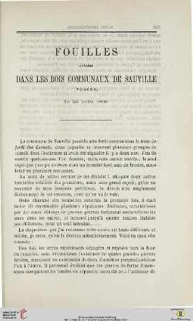 N.S. 14.1866: Fouilles opérés dans le bois communaux de Sauville (Vosges) : le 24 juillet 1866