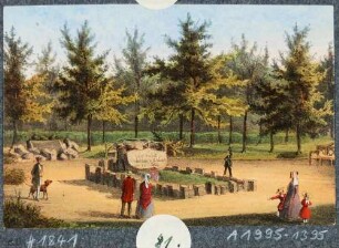 Das Grab Heinrich Cottas aus dem Jahr 1844 mit den im Jahr zuvor von seinen Studenten gepflanzten 80 Eichen bei Tharandt