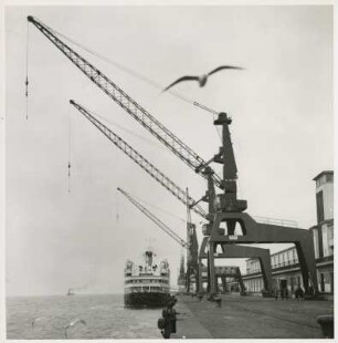 MAN Blocksäulenkrahne Bremen von Klaus Flesche