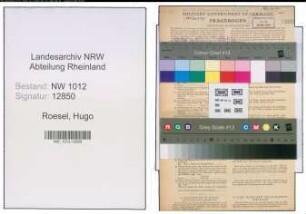 Entnazifizierung Hugo Roesel , geb. 22.10.1894 (kfm. Angestellter)