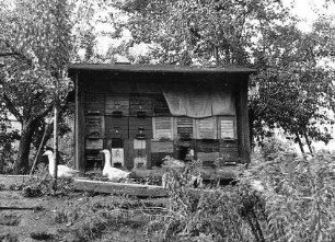 Bienenzucht in Kreckwitz : Handwerkstechniken - Bienenzucht und Wachszieherei. Ort: Njezdašecy / Nedaschütz. Bienenhaus.