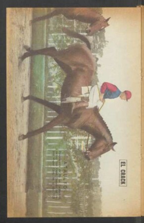 El crack: Ataulfo, descendiente de Bis en Carmuchita. Jockey: José Canal [...] - [Fotografía]