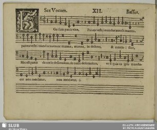 XII. Ego sum panis vitae