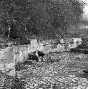 'Gesegneter Brunnen' oder auch 'gesegneter Born' genannt; Eschwege, In der Känne