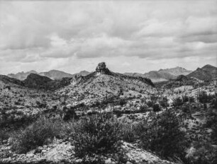 Vegetation am Salt River : Landschaft mit Strauch- und Kakteen-Vegetation in Arizona am Salt River östlich von Phoenix