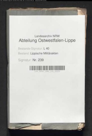 Desertionen lippischer Soldaten aus dem lipp. Kreiskontingent - Einzelfälle