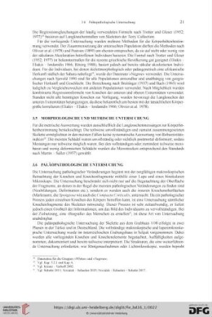 3.5 Morphologische und metrische Untersuchung