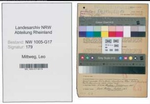 Entnazifizierung Leo Mittweg , geb. 23.01.1892 (Druckereibesitzer)