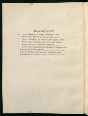 Tab. 100