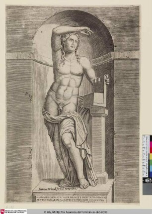 Hermaphroditi [Apollo Farnese]