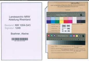 Entnazifizierung Alwine Boehner , geb. 28.09.1901 (Bueroangestellte)
