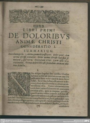 Libri Primi De Doloribus Animae Christi