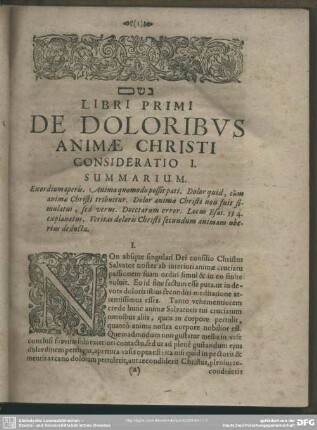 Libri Primi De Doloribus Animae Christi