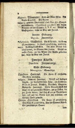 Zweyte Klasse. Diandria. Zweymännige.