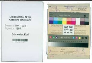 Entnazifizierung Karl Schneider , geb. 10.08.1908 (Elektromonteur)