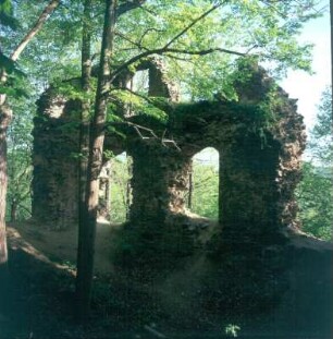 Pöhl-Liebau. Ruine der Burg Liebau (Wiederaufbau 1644). Ehemaliger Palas