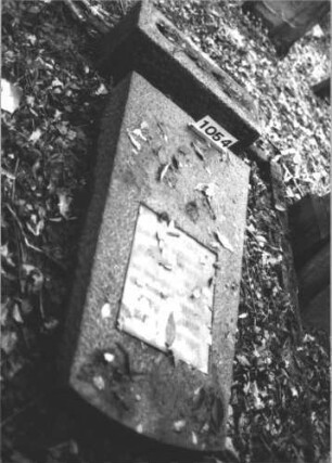Grabstein 1054 (Index: 99899673) Material: Granit Zustand: gut erhalten, vom Sockel gestürzt, liegt Maße HxBxT: 170x75x32 cm Beschreibung: aufgesockelte Stele mit Segmentbogenabschluss, eingelassene Schrifttafel, vom Sockel gestürzt, liegt, Doppelgrabstein Besonderheit: Doppelgrab für Eheleute: Grabstein 1054