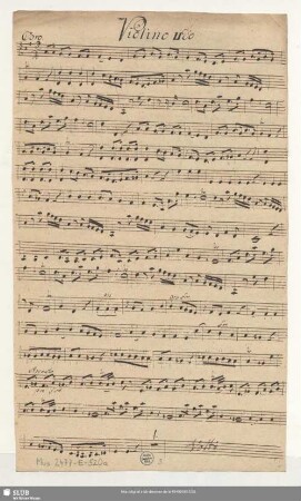 Violino IIdo
