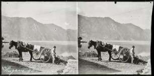 Mann mit Pferdefuhrwerk am Ufer des Luganer Sees (Lago di Lugano)