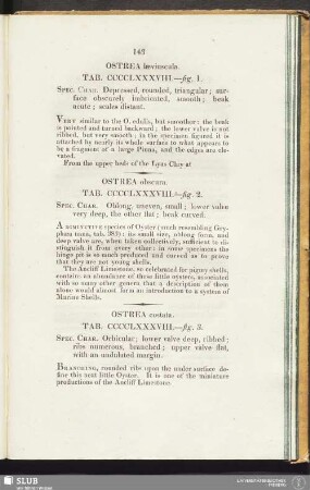 Ostrea obscura. Tab. CCCCLXXXVIII. - fig. 2