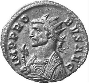 Probus