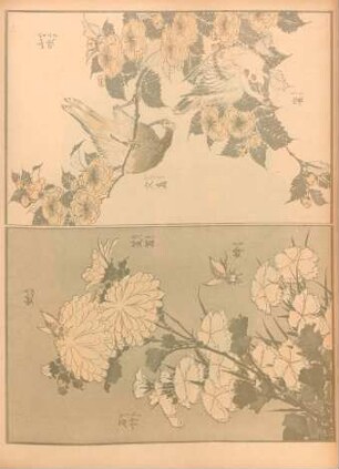 CA [Fleurs, insectes, oiseaux, par Hokusai]