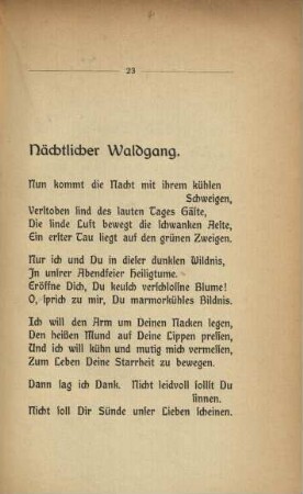 Nächtlicher Waldgang.