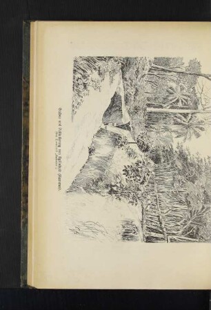 Graben und Palisadierung von (...) (Kamerun). (Aus Dominik "Kamerun".)