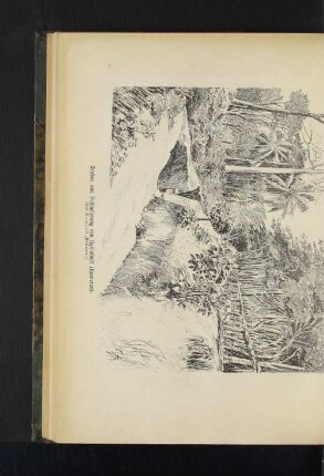 Graben und Palisadierung von (...) (Kamerun). (Aus Dominik "Kamerun".)