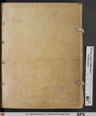 Evangelicarum Quaestionum & Responsionum Liber : Quo inprimis Totum S. Matthaei Evangelium Ex Orthodoxa Antiquitate, breviter explicatur, perspicue illustratur