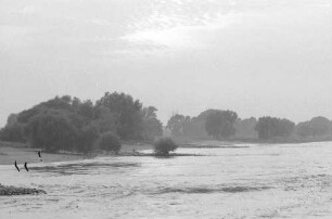 Düsseldorf-Lohausen: Ufer