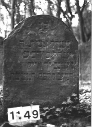 Grabstein 1149 (Index: 99898171) Material: Sandstein Zustand: stellenweise verwittert Maße HxBxT: 96x50x8 cm Beschreibung: Stele mit Segmentbogenabschluss: Grabstein 1149