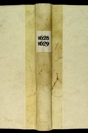 Ratsprotokolle, 1628 Juli 29. - 1629 Juli 27.