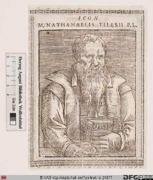 Bildnis Nathanael Tilesius (eig. Tilisch) von Tilenau