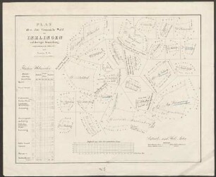 Plan über den Gemeinde-Wald von Inzlingen auf dortiger Gemarkung