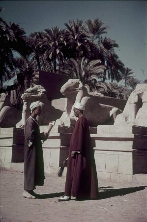 Reisefotos Ägypten. Karnak. Karnak-Tempel. Zwei einheimische Männer vor Widder-Sphingen im Eingangsbereich