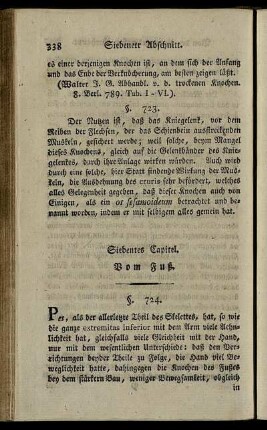Siebentes Capitel. Vom Fuß. § 724-728.