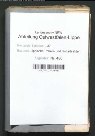 Untersuchung gegen den Hofjuden Joseph Isaak, Teil 8