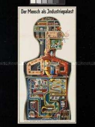 Plakat mit der schematischen Darstellung der im menschlichen Körper ablaufenden Prozesse als mechanisch arbeitende Fabrik