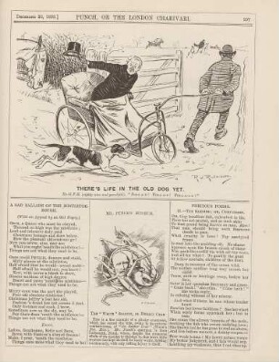 There's life in the old dog yet; Mr. Punch's Museum