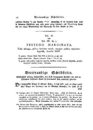Tab. XI. und Tab. XII. Fig. 1. Testudo Marginata : Breitrandige Schildkröte