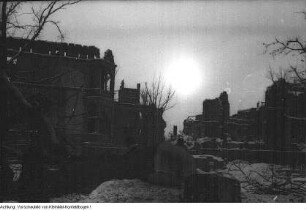 Dresden. Stukenroden für die frierende Bevölkerung im Winter 1946/47, 1947