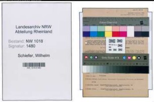 Entnazifizierung Wilhelm Schiefer , geb. 14.04.1900 (Rohrleger)
