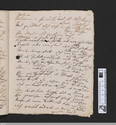 Die Eichbäume : [Ausz.]; Verse 9-12; [StA 1,201/499]