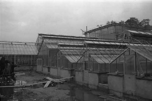 Bau neuer Gewächshäuser am Willstätter Weg für das Botanische Institut der Technischen Hochschule.