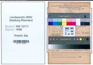 Entnazifizierung Ilse Knecht , geb. 01.07.1905 (Hausangestellte)